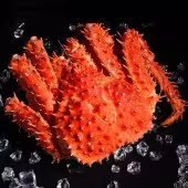 帝王蟹