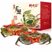 三门大青蟹