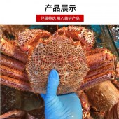 北海道红毛蟹