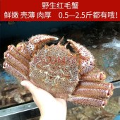 北海道红毛蟹