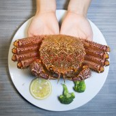 北海道红毛蟹